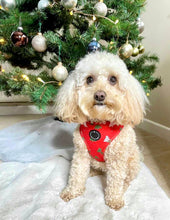 Load image into Gallery viewer, Festive Forest - Adjustable Harness