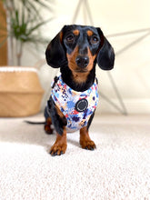 Load image into Gallery viewer, Pup Art - Adjustable Harness