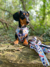 Load image into Gallery viewer, Pup Art - Lead