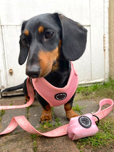 Load image into Gallery viewer, Pretty in Pink - Lead