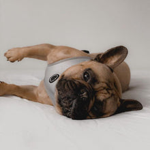 Load image into Gallery viewer, Adjustable dog harness, Regent Grey by Sirius Wag