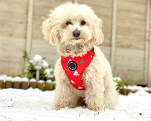 Load image into Gallery viewer, Festive Forest - Adjustable Harness