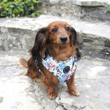 Load image into Gallery viewer, Adjustable dog harness, Pup Art by Sirius Wag