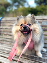 Load image into Gallery viewer, Pretty in Pink - Lead