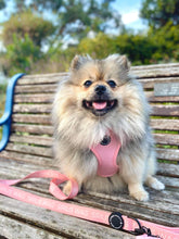 Load image into Gallery viewer, Pretty in Pink - Lead