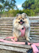 Load image into Gallery viewer, Pretty in Pink - Adjustable Harness