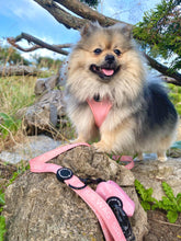 Load image into Gallery viewer, Pretty in Pink - Poo Bag Holder