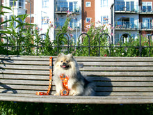 Load image into Gallery viewer, Buttercup - Adjustable Harness