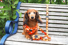 Load image into Gallery viewer, Buttercup - Adjustable Harness