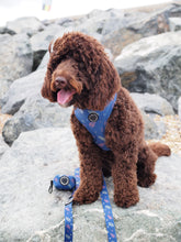 Load image into Gallery viewer, Royal Blue - Poo Bag Holder