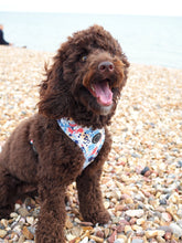 Load image into Gallery viewer, Pup Art - Adjustable Harness