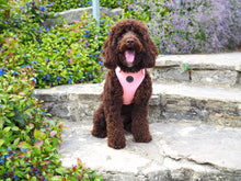 Load image into Gallery viewer, Pretty in Pink - Adjustable Harness