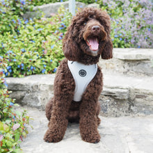 Load image into Gallery viewer, Regent Grey - Adjustable Harness
