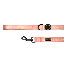 Load image into Gallery viewer, Pretty in Pink - Lead