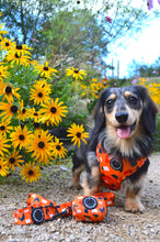 Load image into Gallery viewer, Buttercup - Adjustable Harness