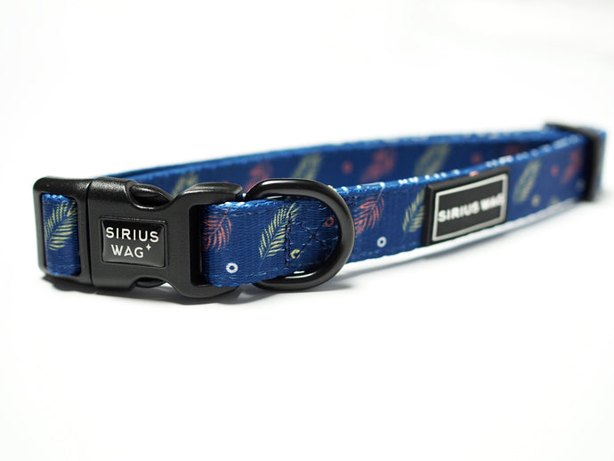 Adjustable Collar, Royal Blue by Sirius Wag