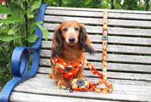 Load image into Gallery viewer, Buttercup - Adjustable Harness
