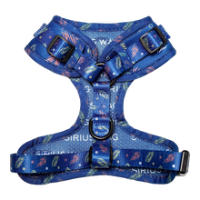 Load image into Gallery viewer, Adjustable Harness, Royal Blue by Sirius Wag
